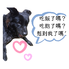 摩卡的快樂每一天