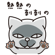 Cats boss