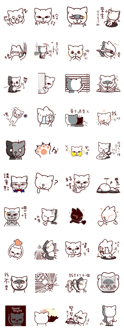 Cats boss