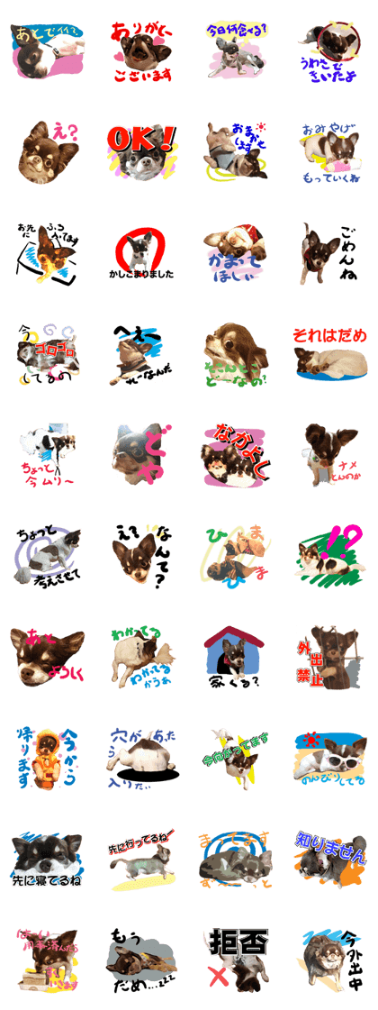 StickerChihuahua