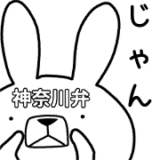 Dialect rabbit [kanagawa]