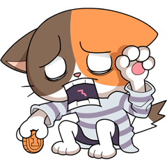 MIREDO 很有事