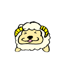 sheep_20200625175524