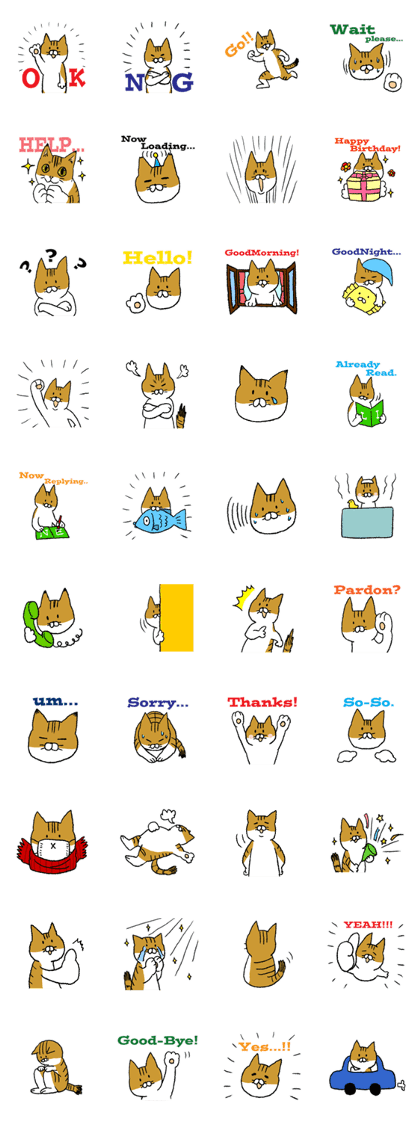 mottiri tama-chan