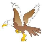 American Eagle