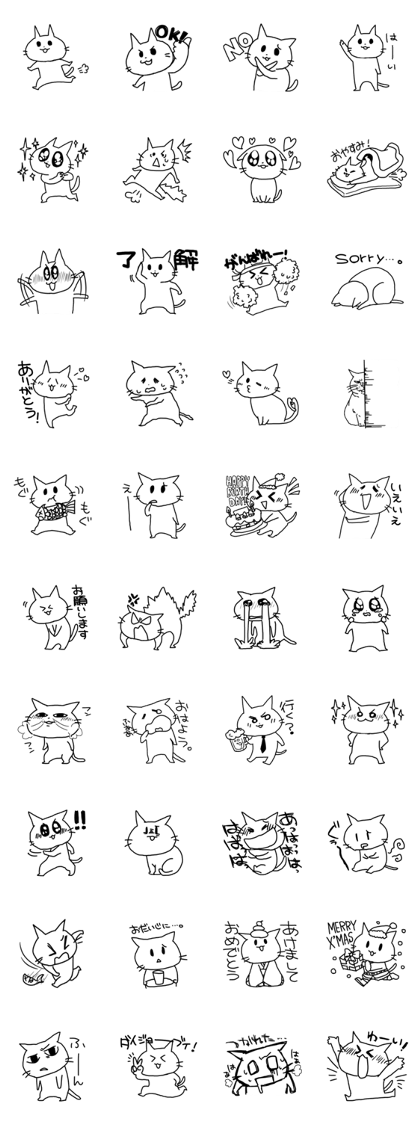 point cat
