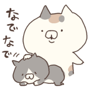 hagemashi cat 6