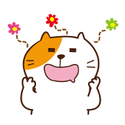 chubby cat "pocha-neco"