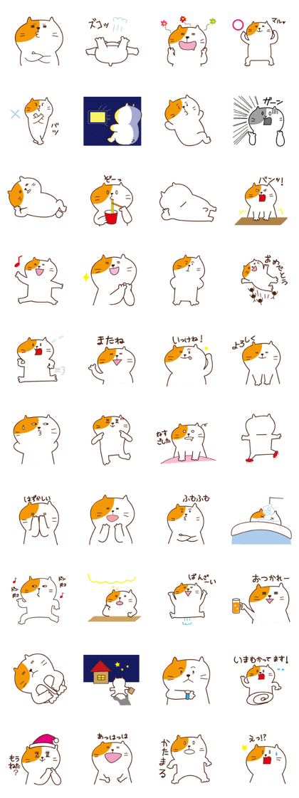 chubby cat "pocha-neco"