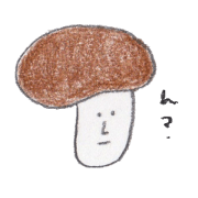 ShiitakeDaily