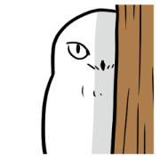 Mr. FU of snowy owl.