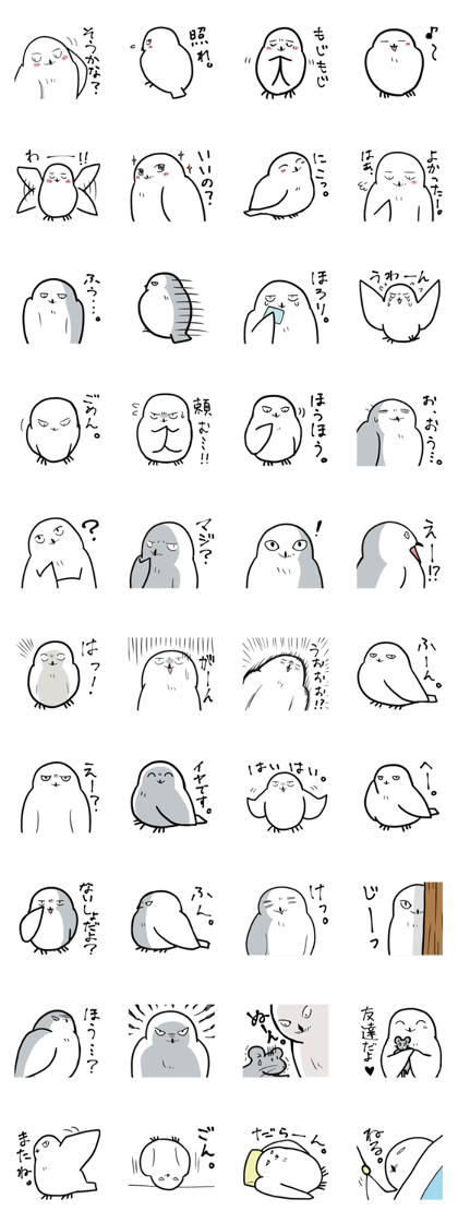 Mr. FU of snowy owl.
