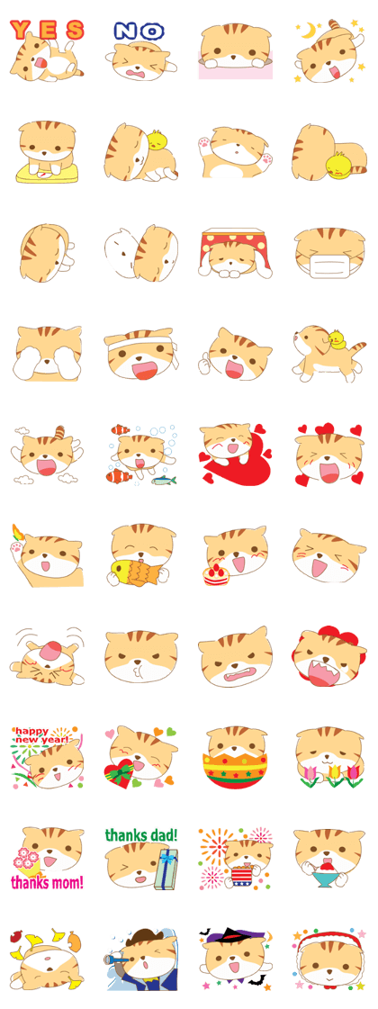 cat fuku03