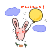 All rabbit