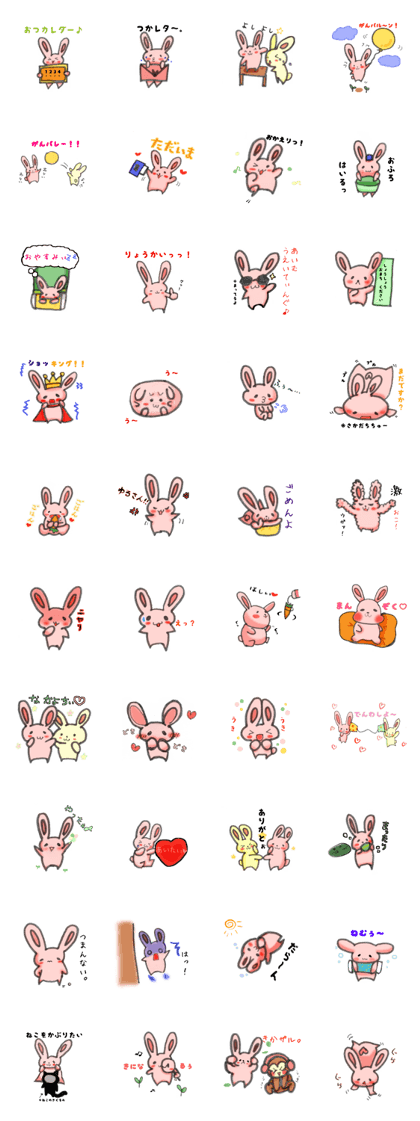 All rabbit