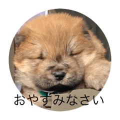 MASABI_20200626073009