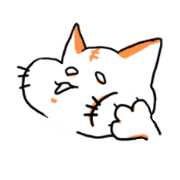 Cat of the white of the eye