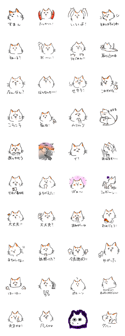 Cat of the white of the eye