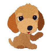 Toy Poodle Top 2
