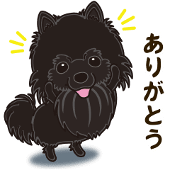 気軽に黒ポメラニアン Line スタンプ Line Store 気軽に黒ポメラニアン Line スタンプ Line Store