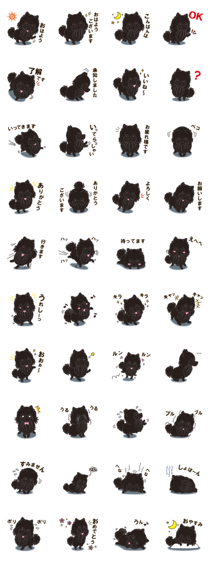 A sticker willingly. Black Pomeranian