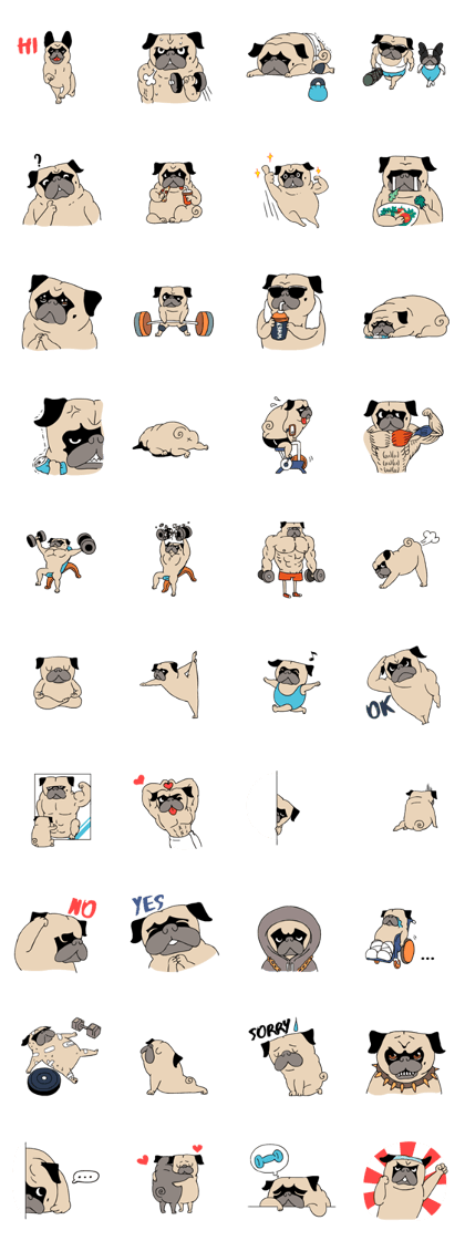 Pug's Gym