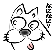 Bowwow boy