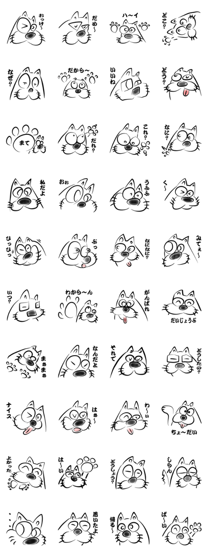 Bowwow boy