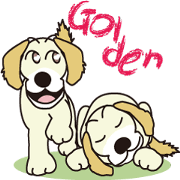 Love Golden retrievers 2