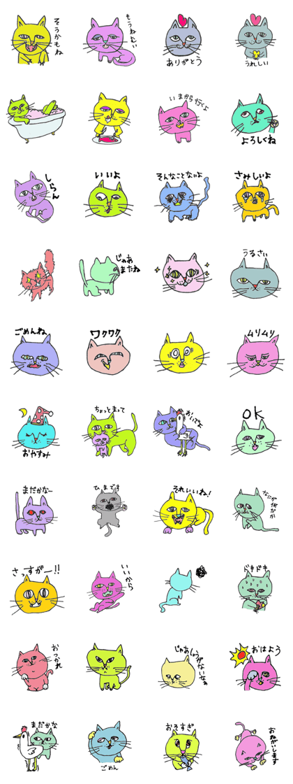 Bonjour cat