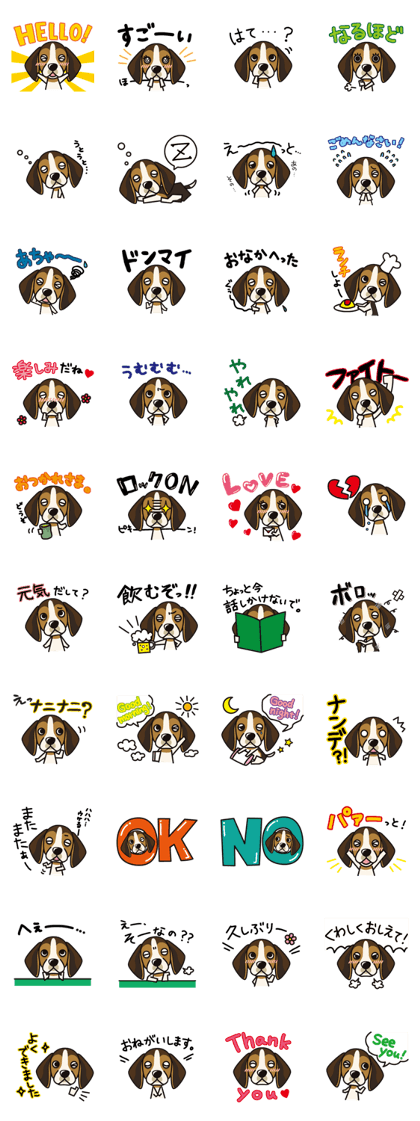 iinu - Beagle