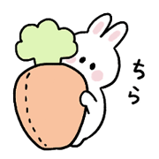 Cat and bunny basic