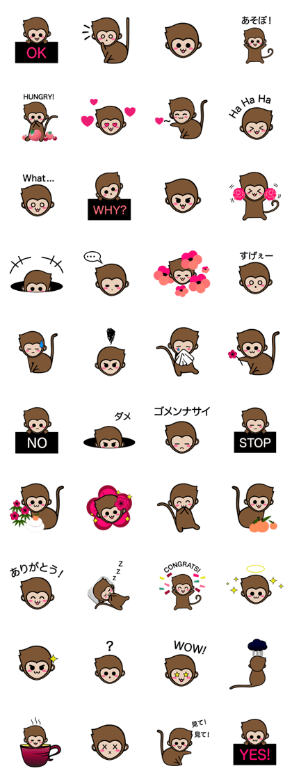 Mochi The Baby Monkey