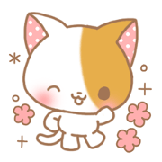 Sweet sweet cat