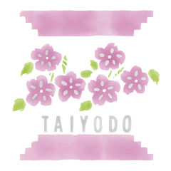 Taiyodo