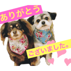 Rei_20200625233335