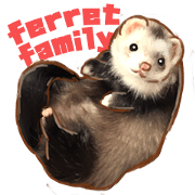 ferret family