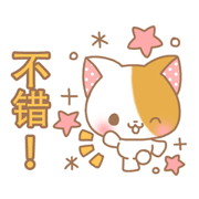 Sweet sweer cat