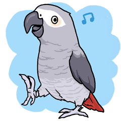 Fuku the Grey Parrot