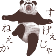 Strange pose Panda