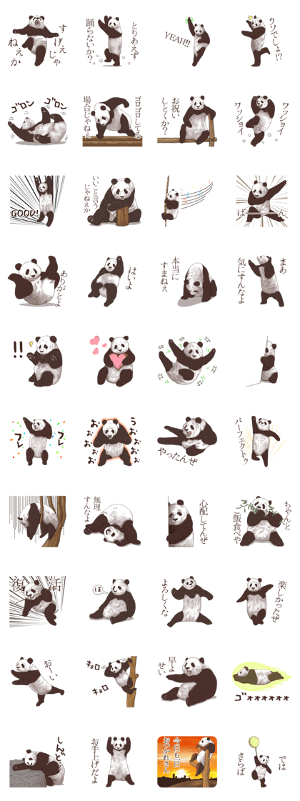 Strange pose Panda