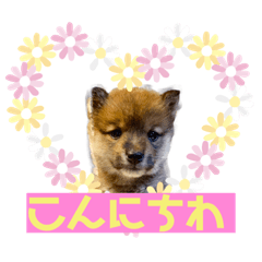 Nanami_20200626093127