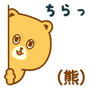 Bears attack