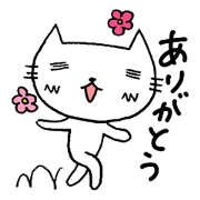 Life of Shironeko