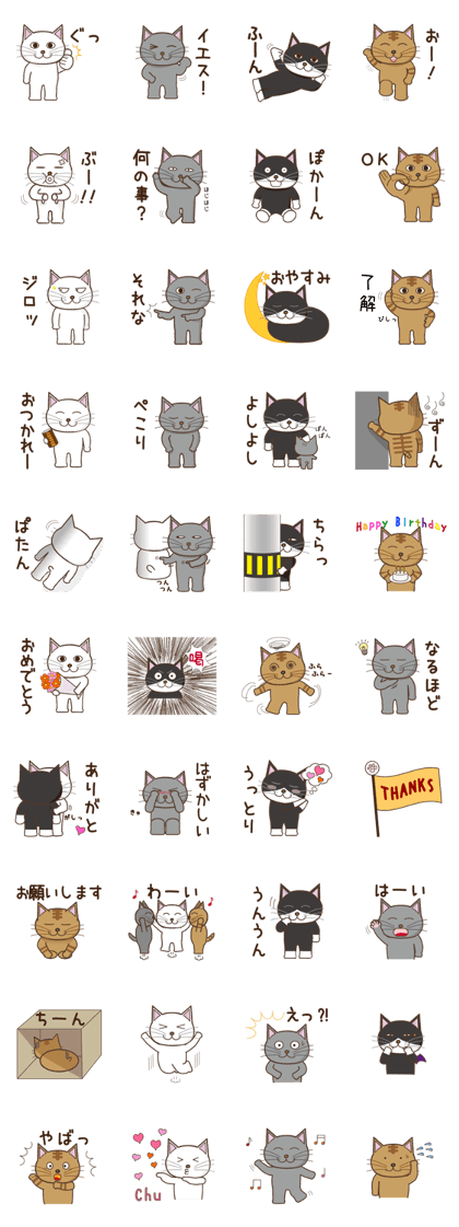 Cat is family.