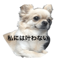 itsuki_20200626142934