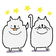 muchimuchi dog and cat