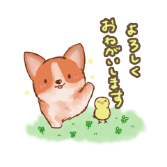 korokoro corgi