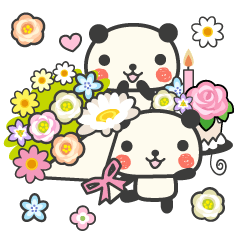 Flowers bloom Congratulations panda