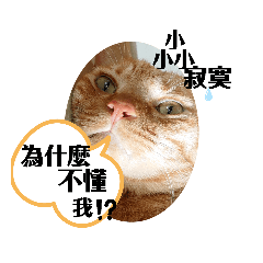 懶人專用一句到位